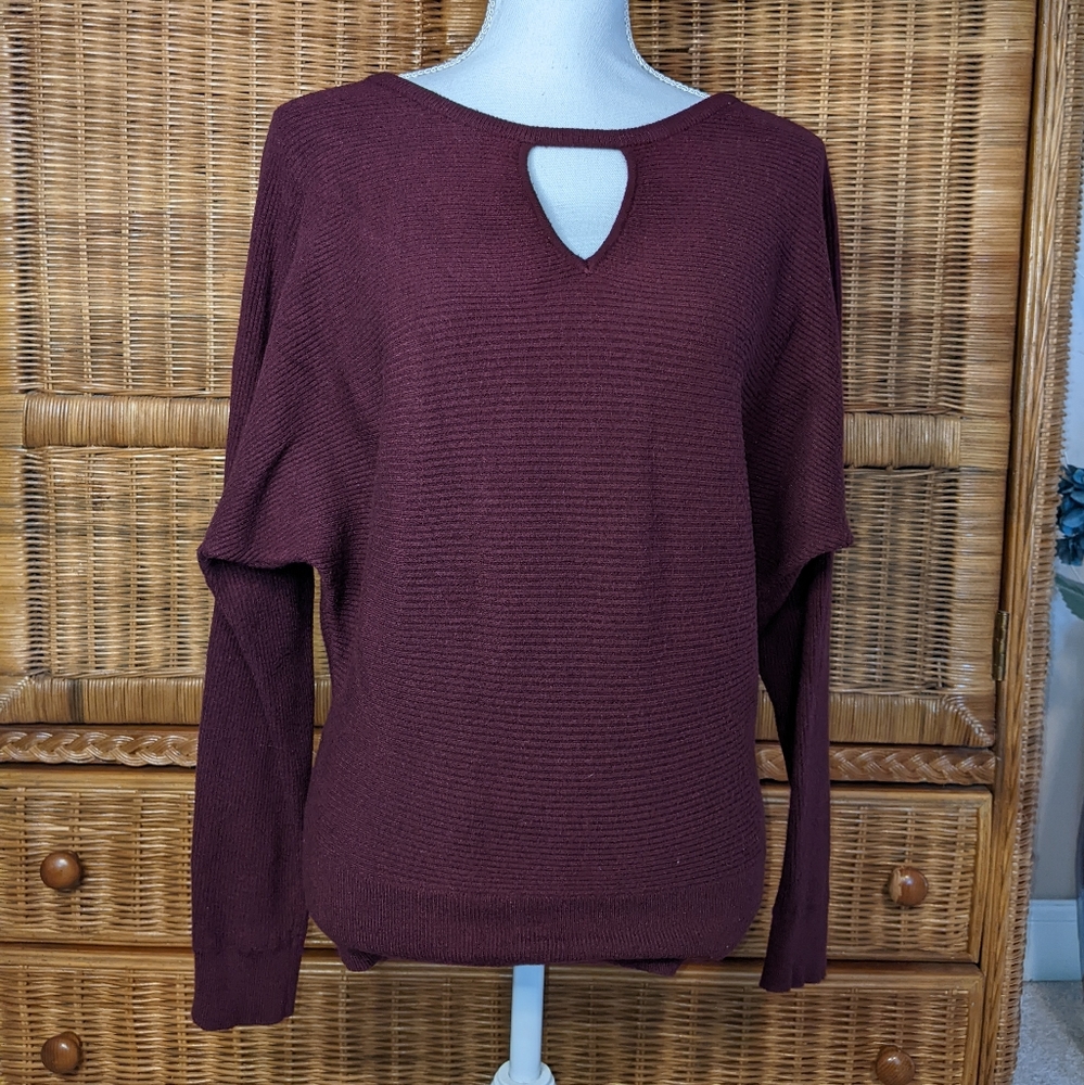 Express Sweater SMALL